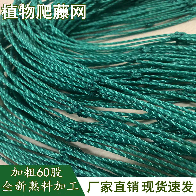 爬藤网植物花卉百香果瓜蒌葡萄丝瓜吊瓜豆角黄瓜种植攀爬尺寸定制,鲜花速递/花卉仿真/绿植园艺,其它园艺用品,淘宝优惠券,粉丝福利购,淘宝优惠卷