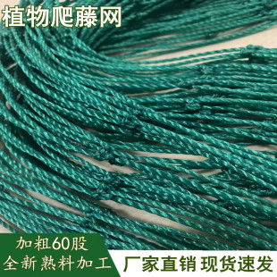 爬藤网植物花卉百香果瓜蒌葡萄丝瓜吊瓜豆角黄瓜种植攀爬尺寸定制