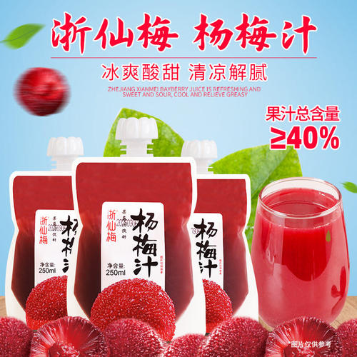 浙仙梅仙居杨梅汁6瓶装10袋装