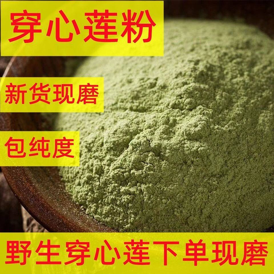 穿心莲粉中药材正品野生穿心莲干粉天然穿心莲现磨无添加川心莲
