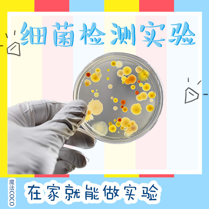 微生物真细菌培养检测生物科学中小学生实验材料STEAM创客制作DIY,玩具/童车/益智/积木/模型,科学实验,淘宝优惠券,粉丝福利购,淘宝优惠卷