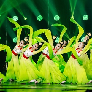 大摆裙 中国风少儿古典舞表演服装 儿童水袖 演出服女采薇舞蹈服甩袖