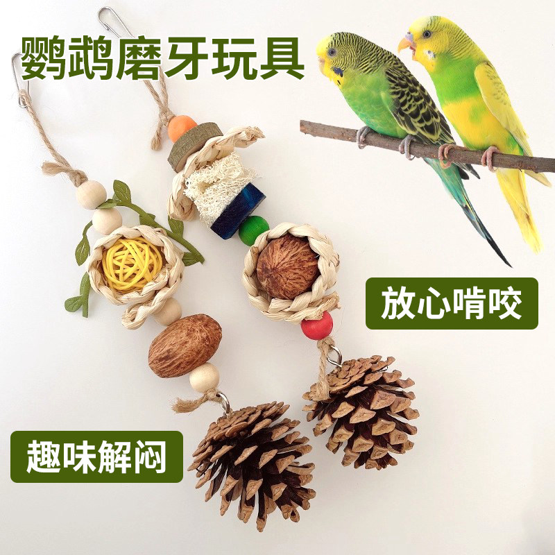 鹦鹉啃咬串玩具坚果松果藤球磨牙磨嘴站架玄凤小太阳和尚鸟笼装饰,宠物/宠物食品及用品,鸟玩具,淘宝优惠券,粉丝福利购,淘宝优惠卷