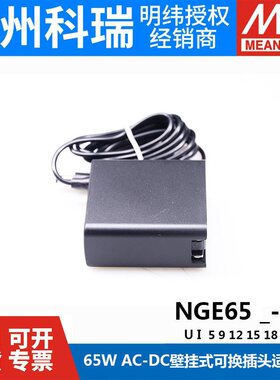 明纬NGE65医疗型U12V开 关电源U24V5配接器I05/15/18/48P1J GSM60
