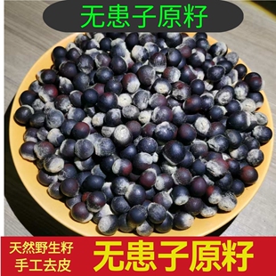 野生无患子原籽手工DIY做手串项链枕头帘子男女古风散珠沉水念珠