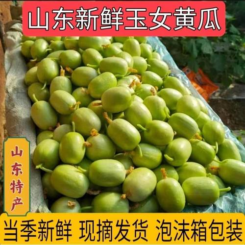 新鲜金童玉女瓜产地代餐水果黄瓜