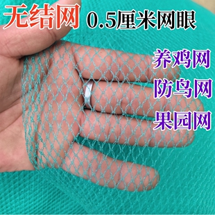 无结网养鸡网防鸟网养殖网尼龙网果树网冰雹网渔网
