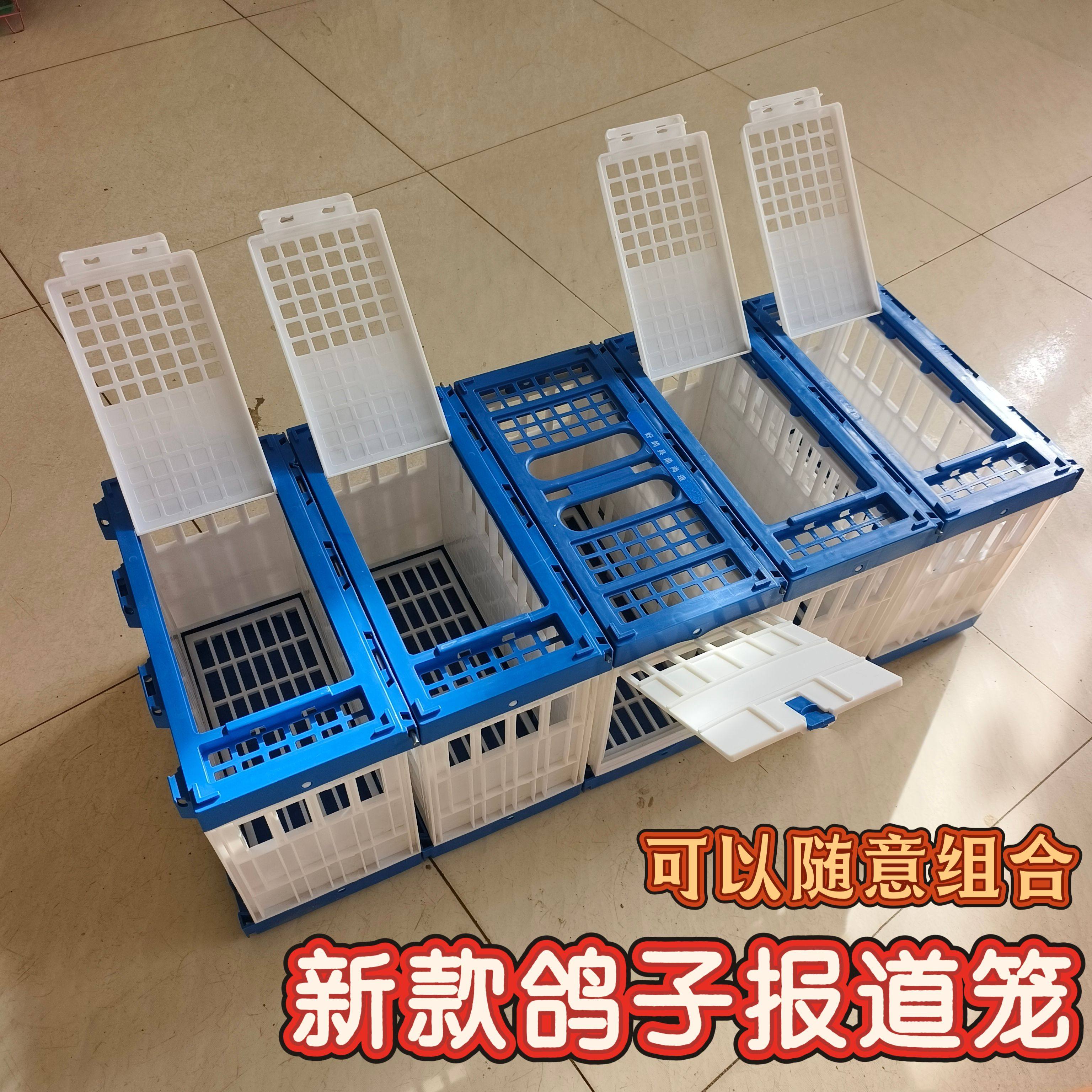 新款鸽子信鸽鸽具赛鸽专用放飞笼塑料放飞笼可报道鸽子笼鸽子用品