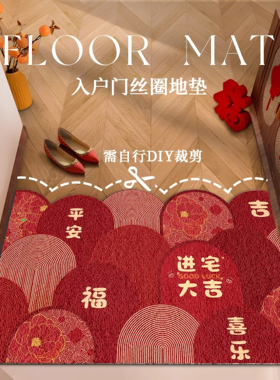 入户门地垫进门家用门垫门外高级感出入平安丝圈脚垫红色玄关地毯