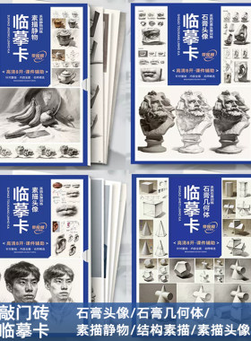 素描色色彩单体组合临摹卡