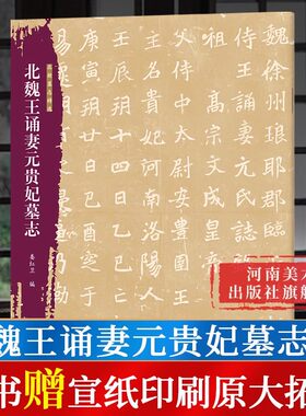 北魏王诵妻元贵妃墓志 北朝墓志精选字帖+原大整拓 魏碑楷书毛笔书法穆亮元桢等墓志毛笔练字古帖书籍河南美术出版社