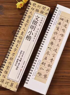 文徵明小楷千字文琴赋草堂十志醉翁亭记文征明硬笔毛笔书法字帖 书法成人学生初学入门 经典碑帖全文原大版墨迹本近距离临摹字卡