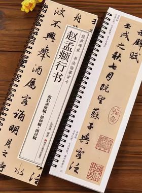 赵孟頫前后赤壁赋洛神赋闲居赋行书毛笔书法字帖 赵孟頫赵体经典碑帖书法临摹字卡近距离对临原大版附简体旁注赵孟俯行书