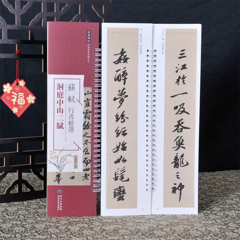 经典碑帖练字卡 苏轼行书精选 洞庭中山二赋 近距离临摹字卡原色原帖繁体旁注毛笔书法字帖成人学生临摹学习范本 贵州民族出版社