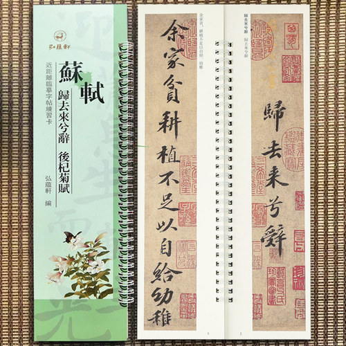 苏轼归去来兮辞近距离临摹字帖