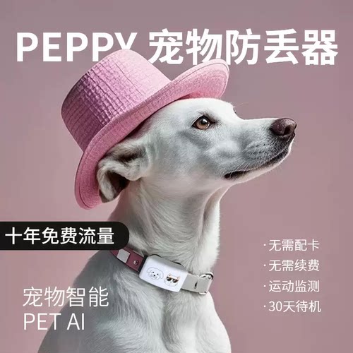 顺丰发货宠物智能项圈追踪器