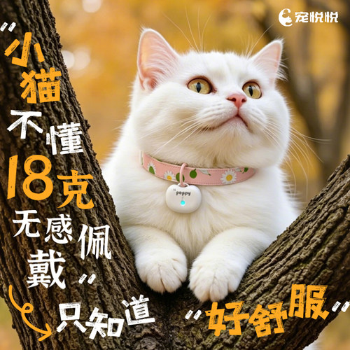宠悦悦猫咪定位器宠物gps项圈狗防丢失追踪防水跟踪订位定仪器