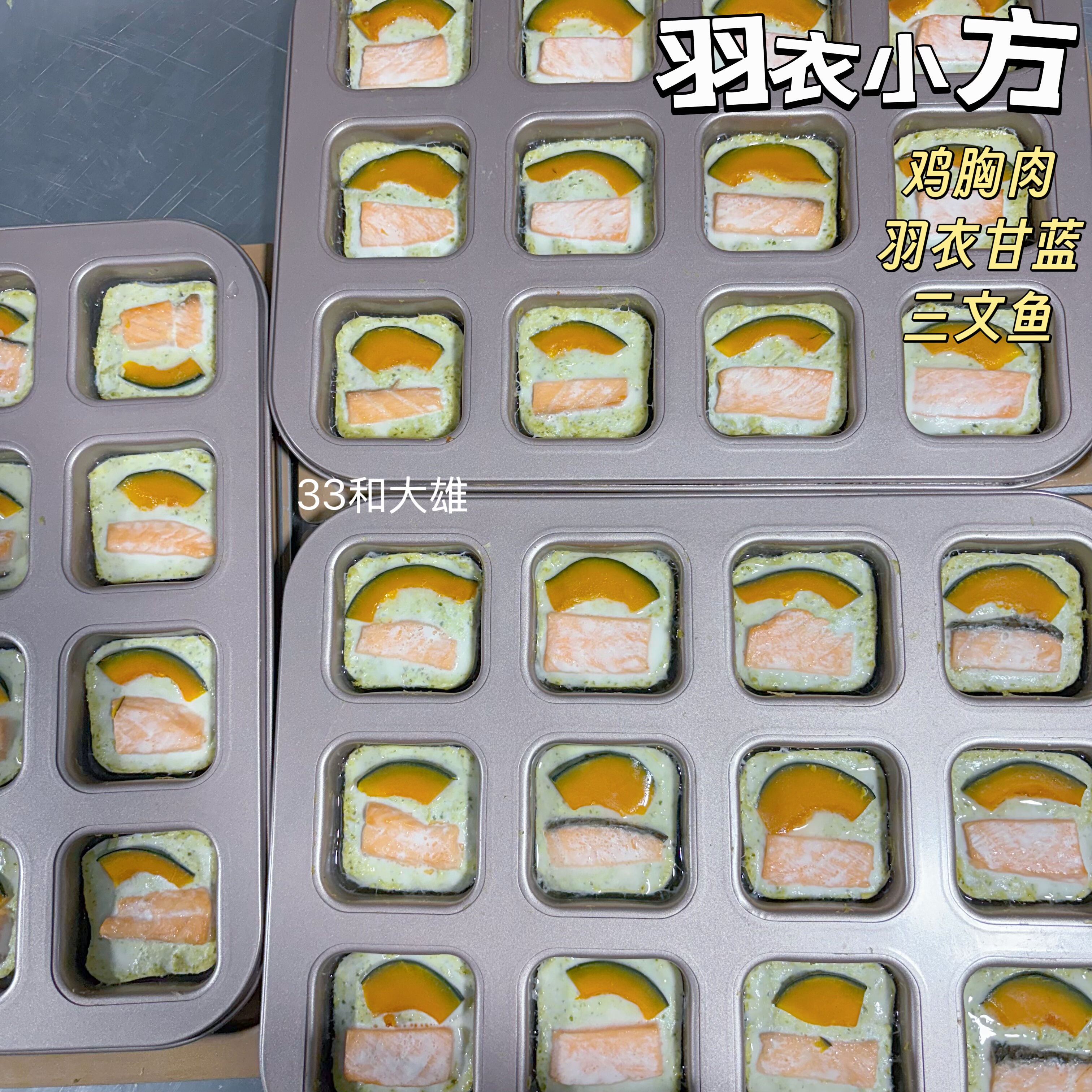 羽衣小方 33和大雄宠物狗狗鲜食鸡肉三文鱼贝贝南瓜开袋即食营养,宠物/宠物食品及用品,狗零食湿粮包/餐盒,淘宝优惠券,粉丝福利购,淘宝优惠卷