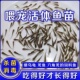 乌龟吃 小鱼苗喂乌龟饲料活鱼龟粮食蚊鱼麦穗鱼斗鱼龙鱼饲料活体