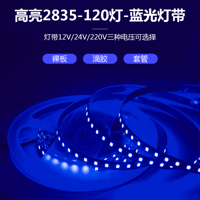12V24V220V自粘可裁剪蓝光灯带