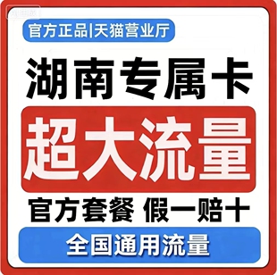 【仅发湖南】湖南流量卡纯流量上网卡全国通用大流量手机卡5G卡4G