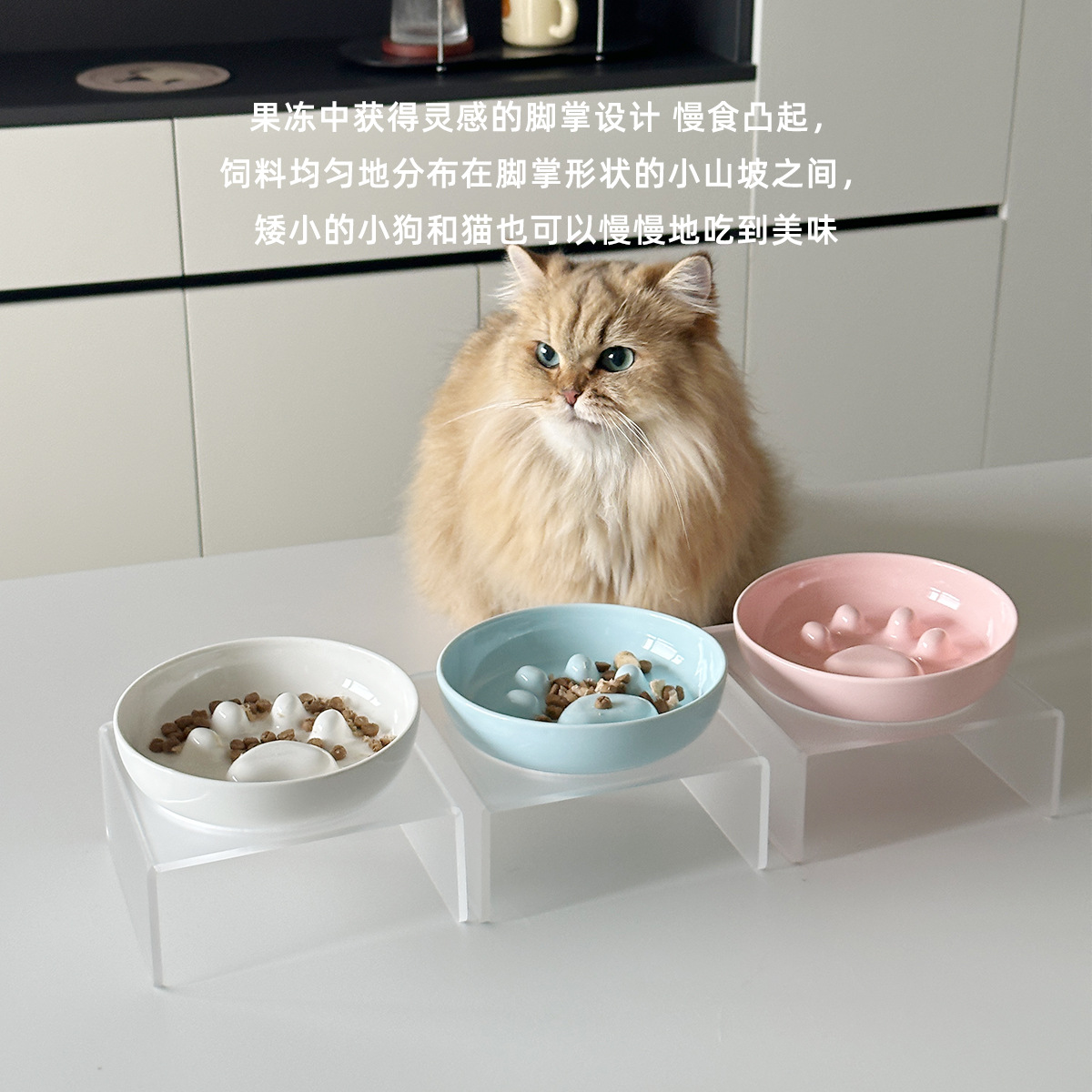 猫碗陶瓷宠物慢食碗猫食盆狗碗猫咪盘子猫粮碗饭碗高脚亚克力碗