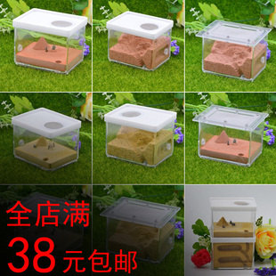 施王蚁馆 宠物活体蚂蚁巢石膏巢仿生态蚁巢工坊造景家园组合蚁巢