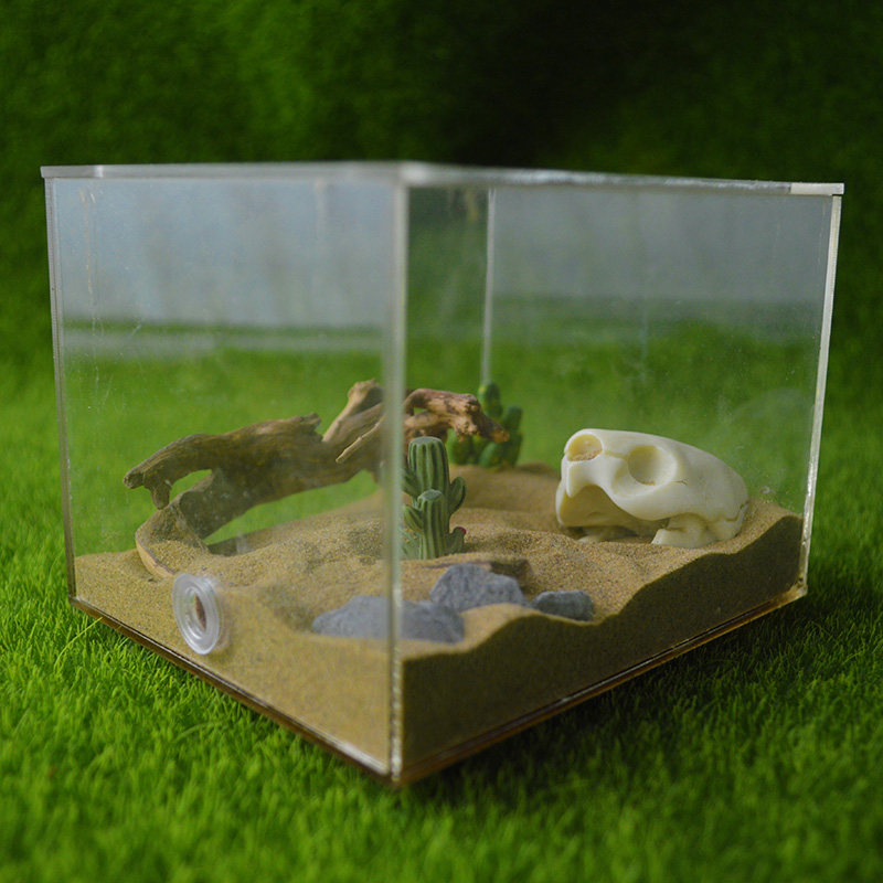 施王蚁馆 迷你沙漠仿生态造景缸箱 装饰品  爬虫宠物蚂蚁巢用品