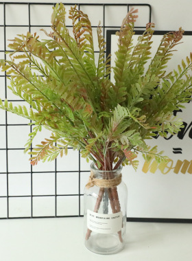 琴艺假花手感凤尾草叶子 出口室内植物墙 仿真花微景观MW仿真植物