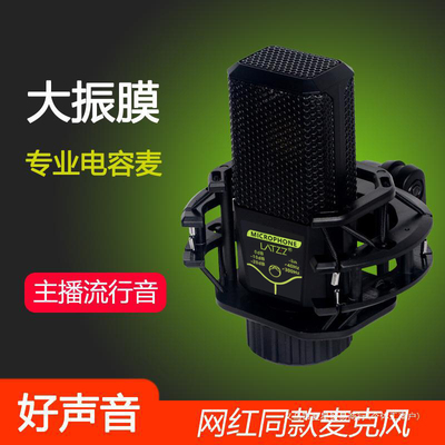 240大振膜电容麦克风直播套装