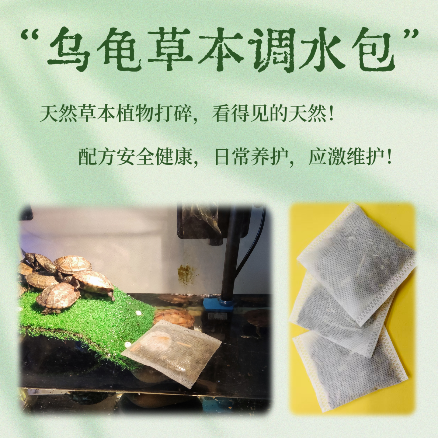 乌龟草本调水包巴西半水龟不吃东西拒食感冒肠炎应激浮水调理白眼