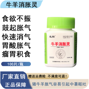 兽用消气灵牛羊消胀灵急性胃鼓气胀气胃扩张食欲不振快速消化G