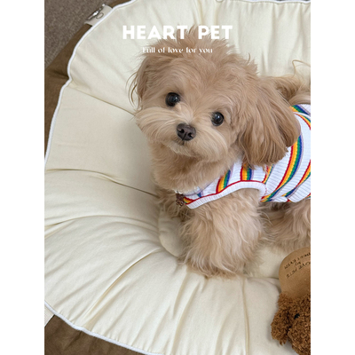 彩虹条纹宠物背心打底衫