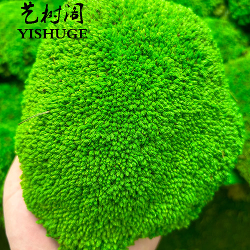 艺树阁顺丰包邮产地直发可开发票
