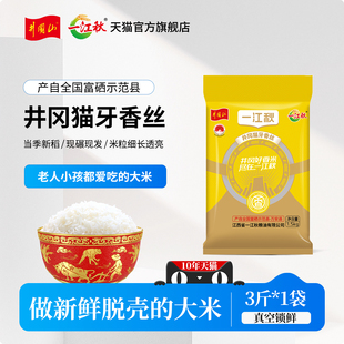 一江秋旗舰店猫牙香丝长粒香米1.5kg大米10斤装2025新米晚稻米