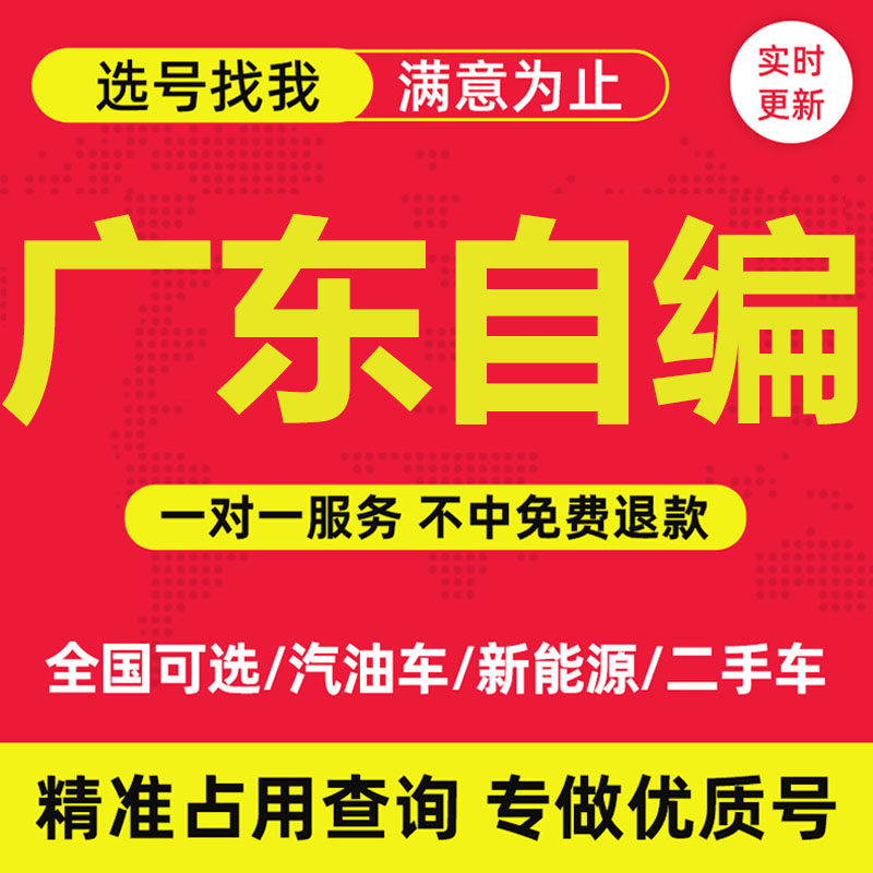 广州深圳车牌选号广东东莞佛山惠州12123新能源汽车查占用自选自