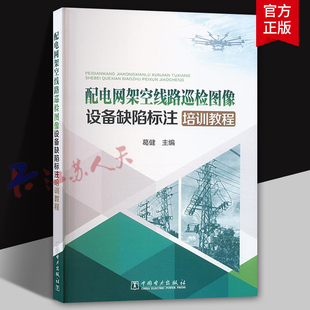 配电网架空线路巡检图像设备缺陷标注培训教程 葛健主编 教材教程书籍 AI电力设备缺陷检出效率 中国电力出版社9787519895297
