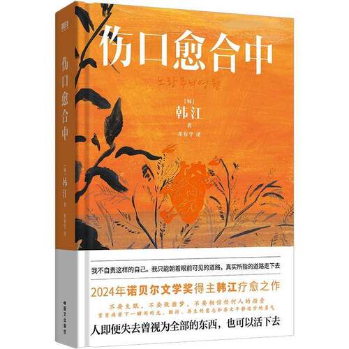伤口愈合中韩江9787512517608 国文出版社 健康与养生书籍