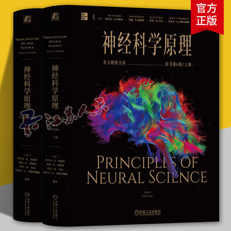 神经科学原理 英文精装全彩原书第6版 埃里克 坎德尔 神经科学原理 精神病理学书籍 神经科学心理学书书籍 机械工业出版社