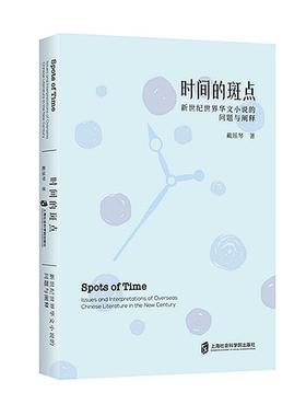 时间的斑点:新世纪世界华文小说的问题与阐释:issues and interpret戴瑶琴9787552043259 上海社会科学院出版社有限公司 文学书籍