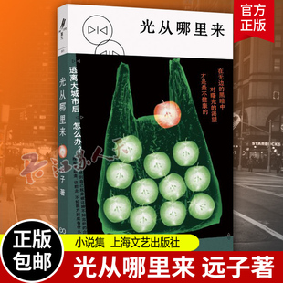 正版 光从哪里来 亚洲周刊2019年十大好书小说类作者远子全新力作 zui新短篇小说集 逃离大城市后怎么办 上海文艺出版社 新书包邮