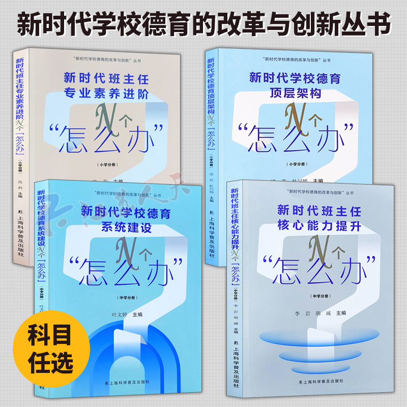 新时代学校德育的改革与创新丛书新时代学校德育顶层架构班主任专业素养进阶班主任核心能力提升德育系统建设N个怎么办中小学分册