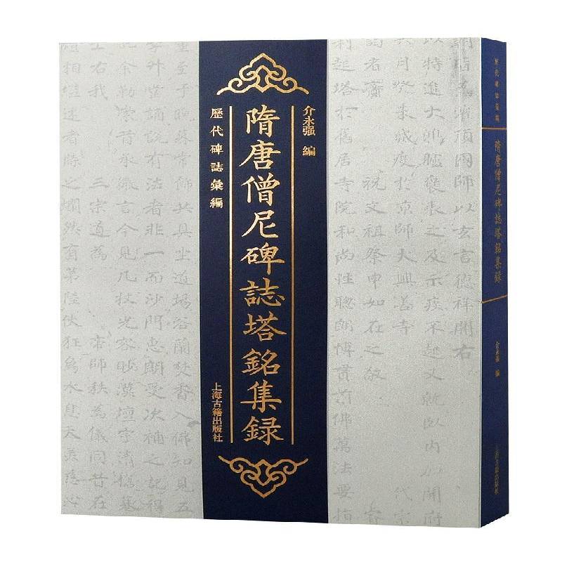 隋唐僧尼碑志塔铭集录介永强9787573203205 上海古籍出版社 历史书籍