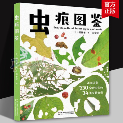 虫痕图鉴 日本知名昆虫学家新开孝新作 自然教育家庭教育亲子课外读物 亲子出游指南自然书籍 湖南科学技术出版社