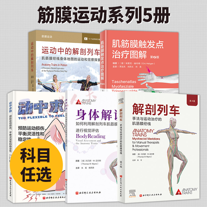 运动中的解剖列车 肌筋膜经线身体地图的运动和觉察探索 动中求稳 预防运动损伤 身体解读 凯琳谷特纳著 北京科学技术出版社