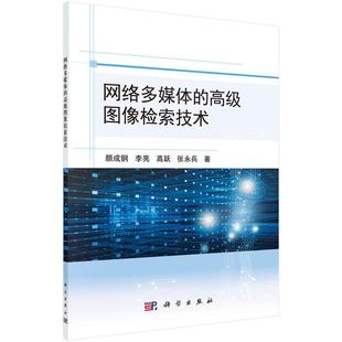 图像数据库信息检索研究社会科学书籍 网络多媒体 图像检索技术颜成钢