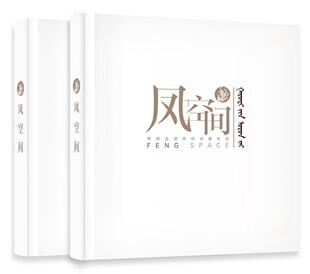 凤空间王凤波 室内装饰设计作品集中国现代建筑书籍