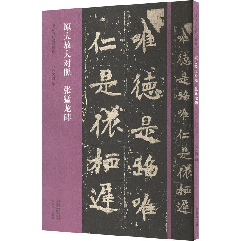 张猛龙碑孔文凯9787540165116 河南社 艺术书籍