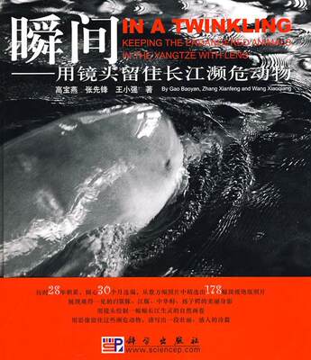 瞬间:用镜头留住长江濒危动物高宝燕 濒危动物长江流域濒危动物摄影集自然科学书籍