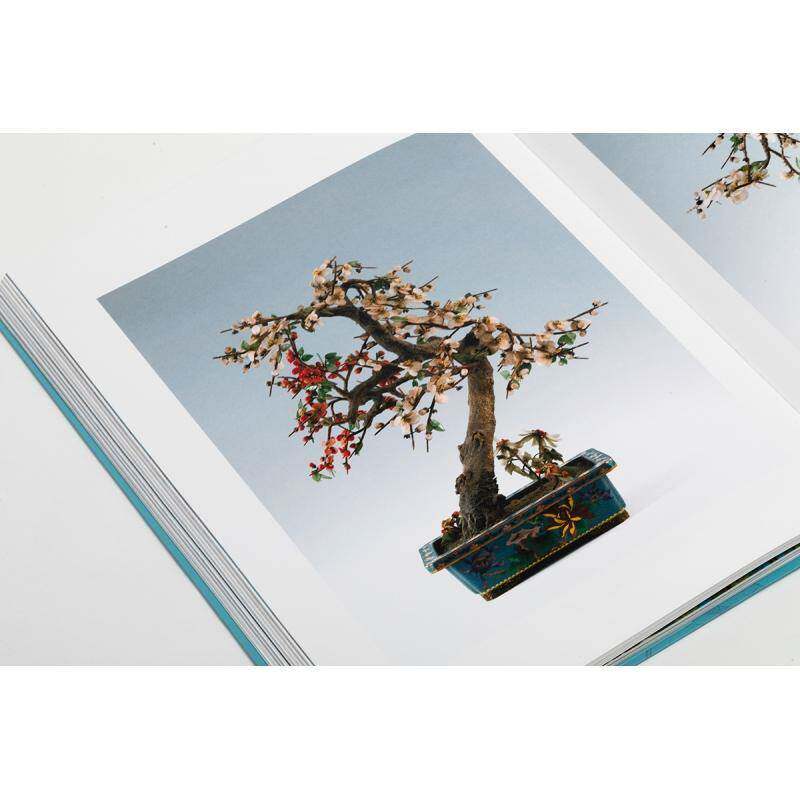 金琅华灿:张宗宪捐赠掐丝珐琅器:Chinese cloisonne as a gift Robert Chang's collect褚9787547933442 上海书画出版社 历史书籍